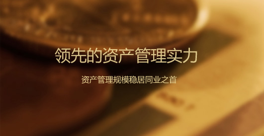 領先的產業管理實力